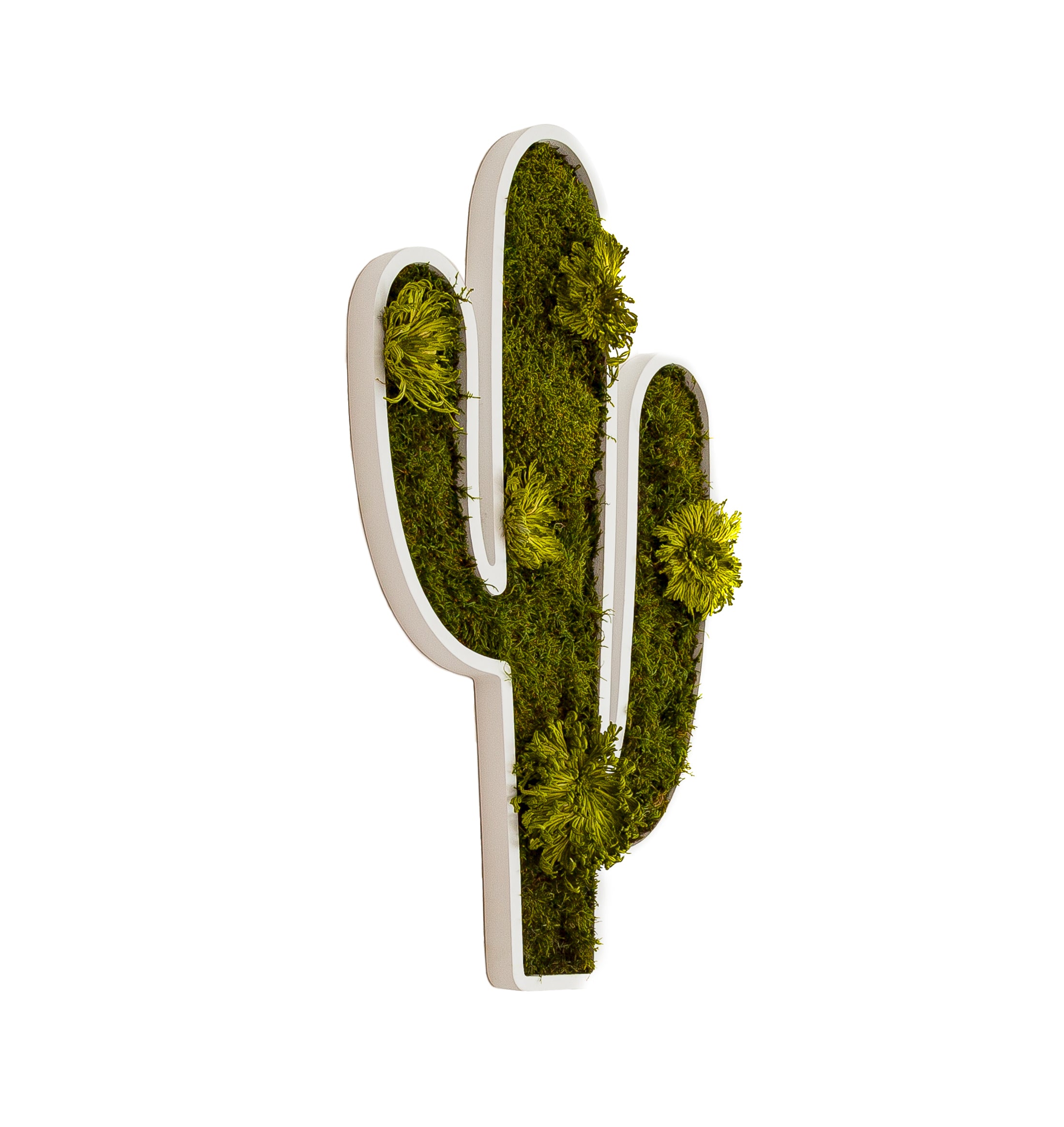 Moosdekoration Kaktus – Mossiness