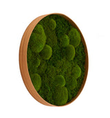 Moosbildkreis Bolmoss+Flatmoss