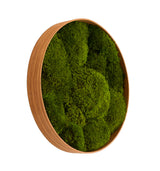 Moosbildkreis Sibirisch