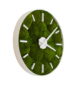 Moos-Uhren mit Zifferblatt Sibirisches