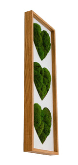 machové srdce bolmoss v ráme machová dekorácia machový obraz