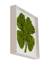 machová dekorácia štvorlístok lišajník machový obraz