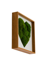 machové srdce bolmoss v ráme machová dekorácia machový obraz